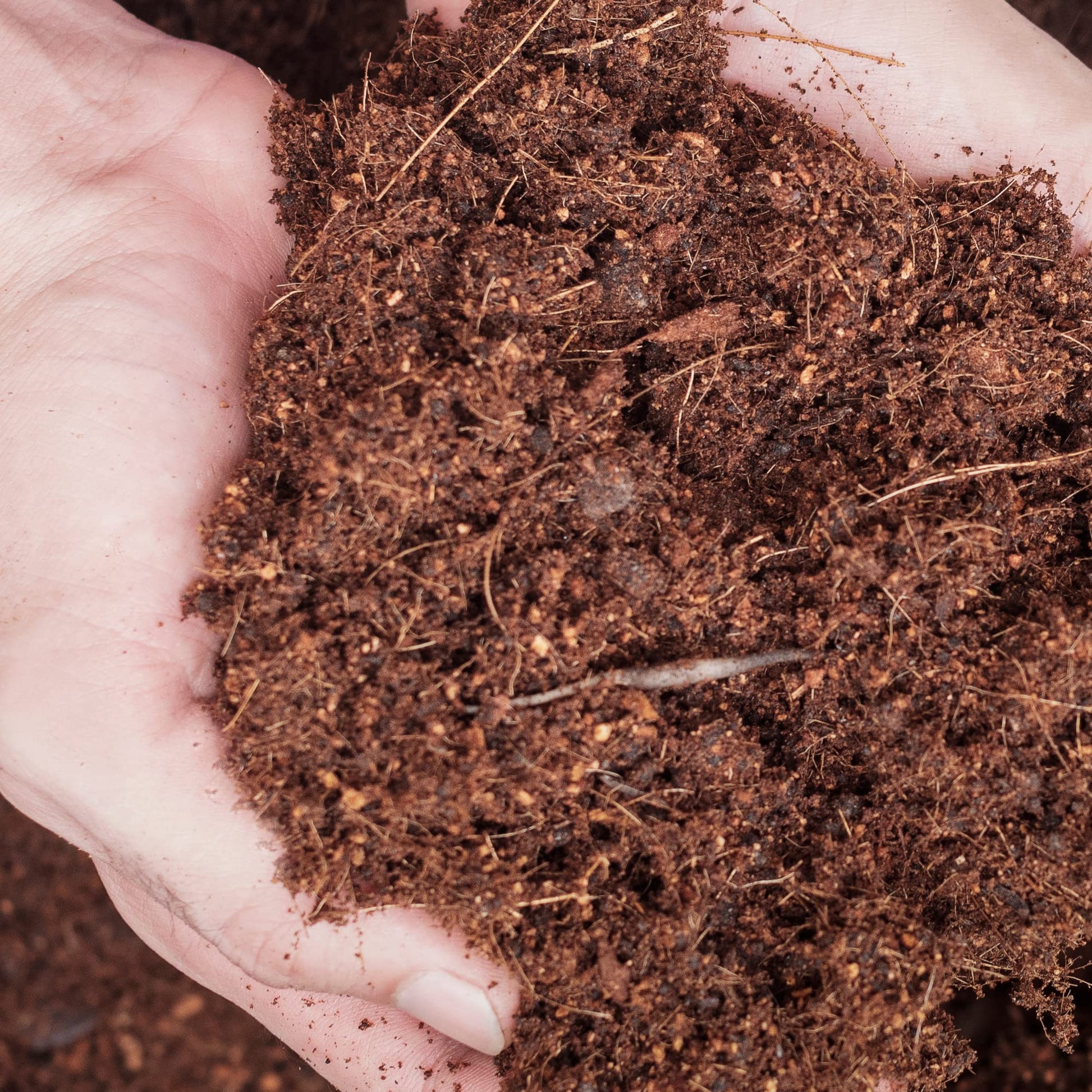 Organic Peat-Free Garden Compost - 4 x Litres in Convenient Paper Bag - AcquaGarden